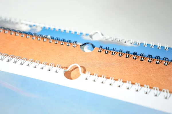 spirale-estyma-kalendarz-DSC03703 Zawieszki do kalendarzy EURO 100 szt.